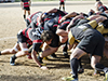 thumb_DSC_6274.jpg